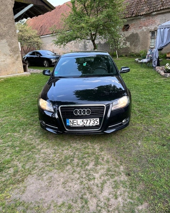 Audi A3 cena 25000 przebieg: 221751, rok produkcji 2010 z Wrocław małe 172